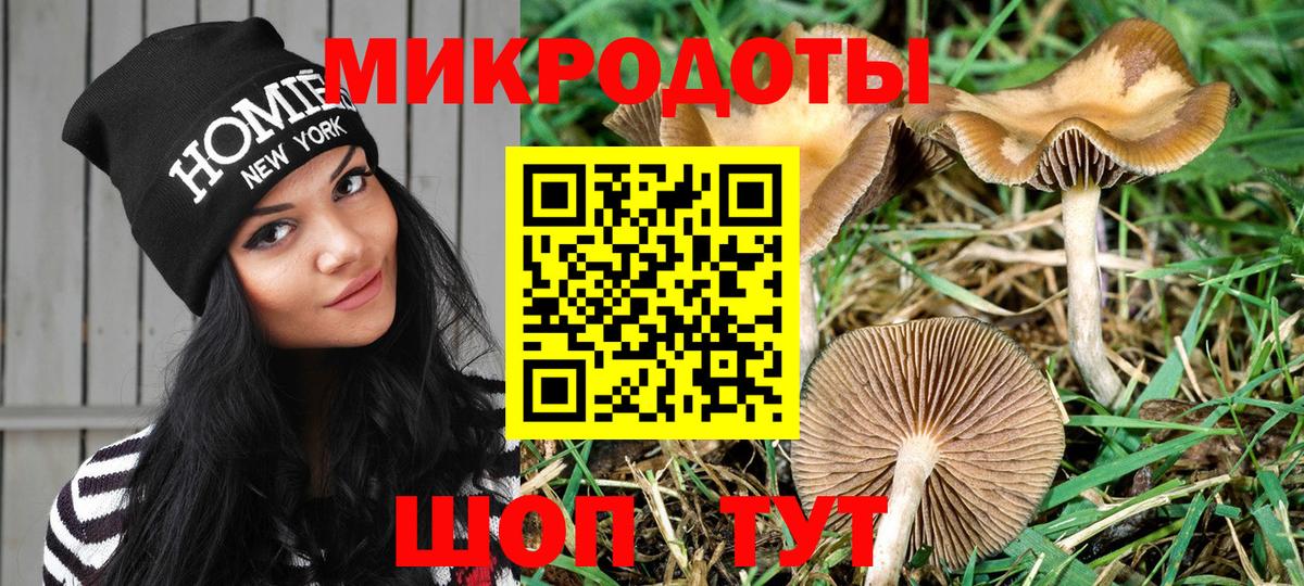 Галлюциногенные грибы Magic Shrooms Красный Сулин